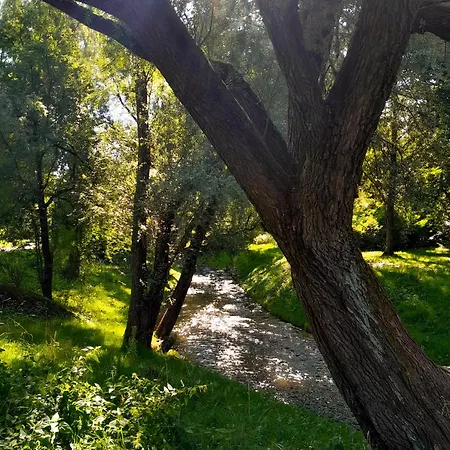 アパート Mini Noc W Centrum *